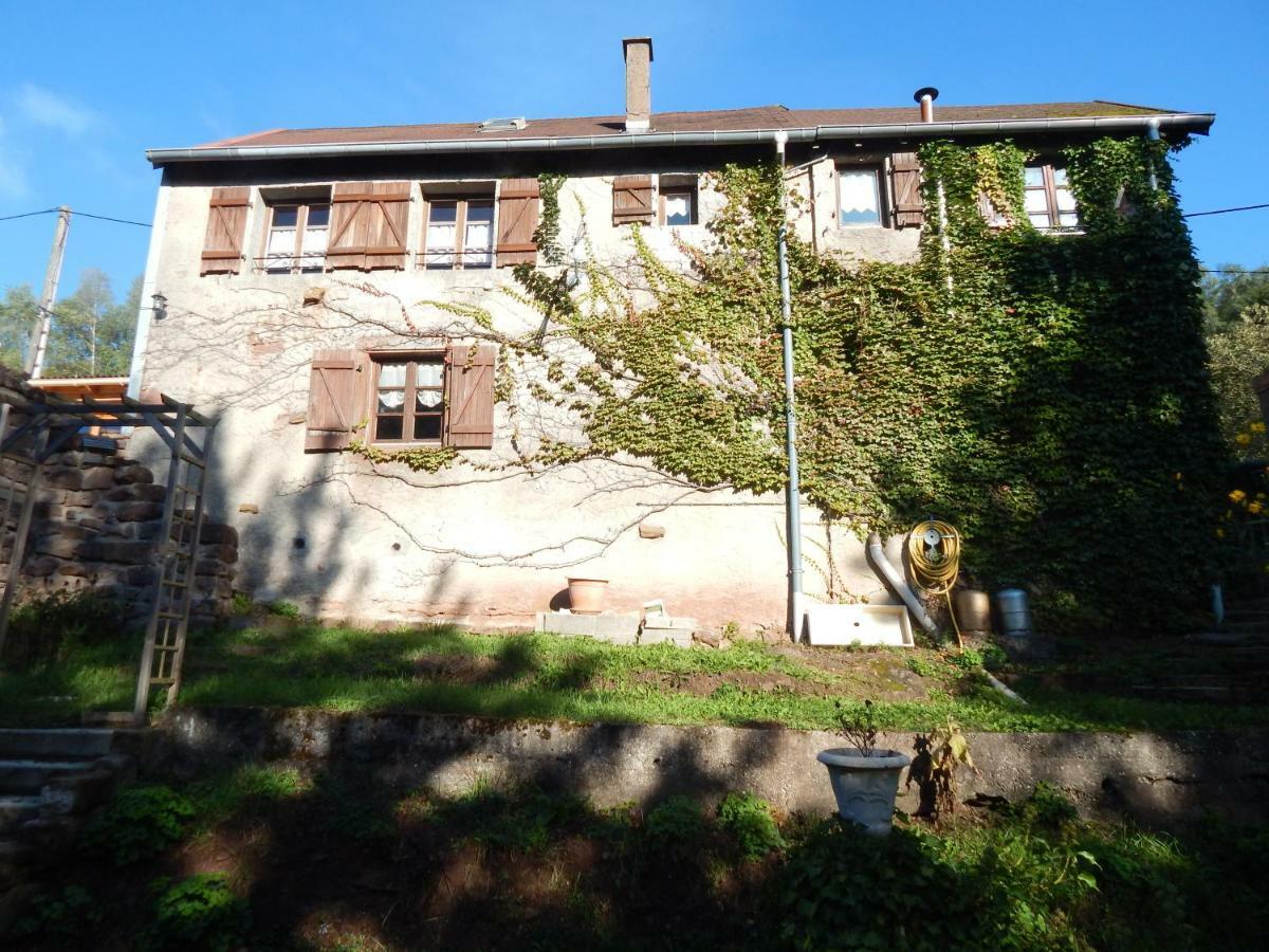 Villa Le Petit Biscuit à Dabo Extérieur photo